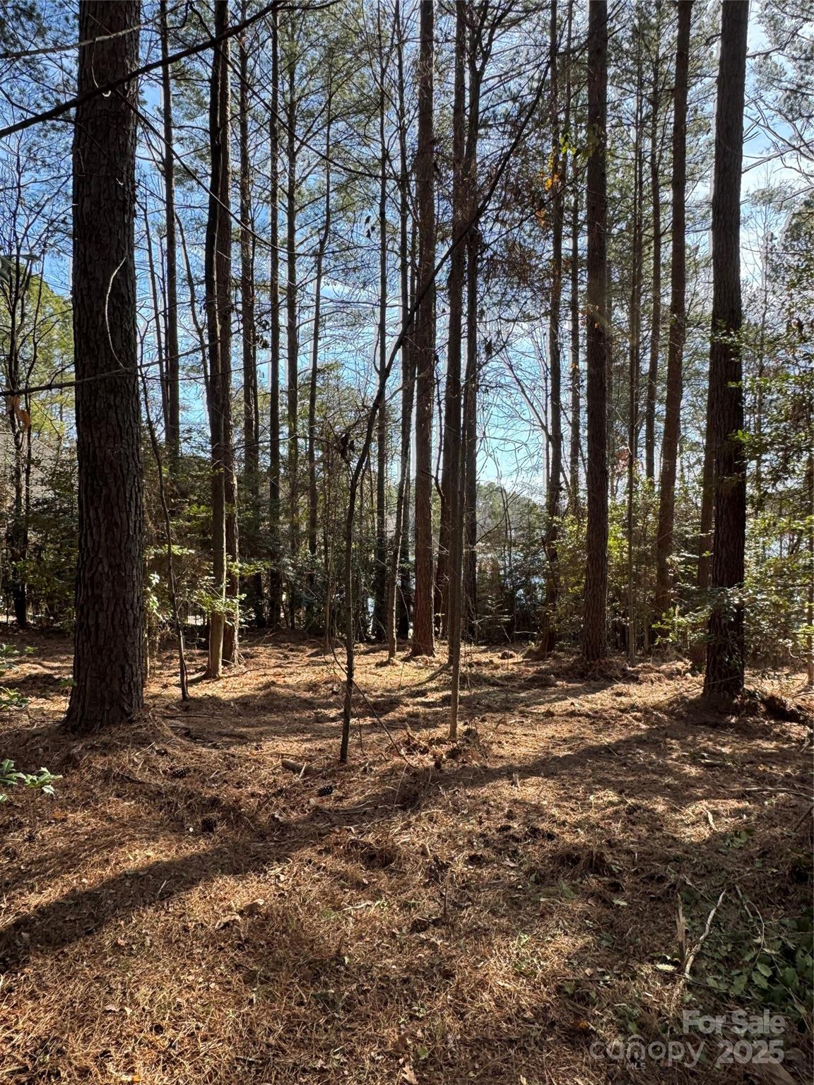 155 Eagle Chase Lane Troutman NC 28166
