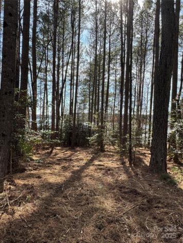 155 Eagle Chase Lane Troutman NC 28166