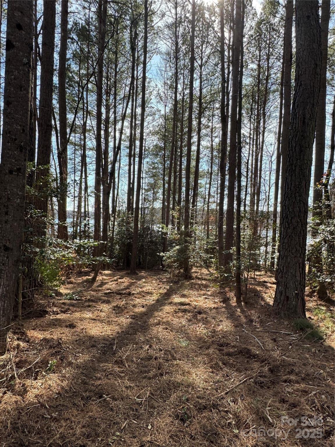155 Eagle Chase Lane Troutman NC 28166