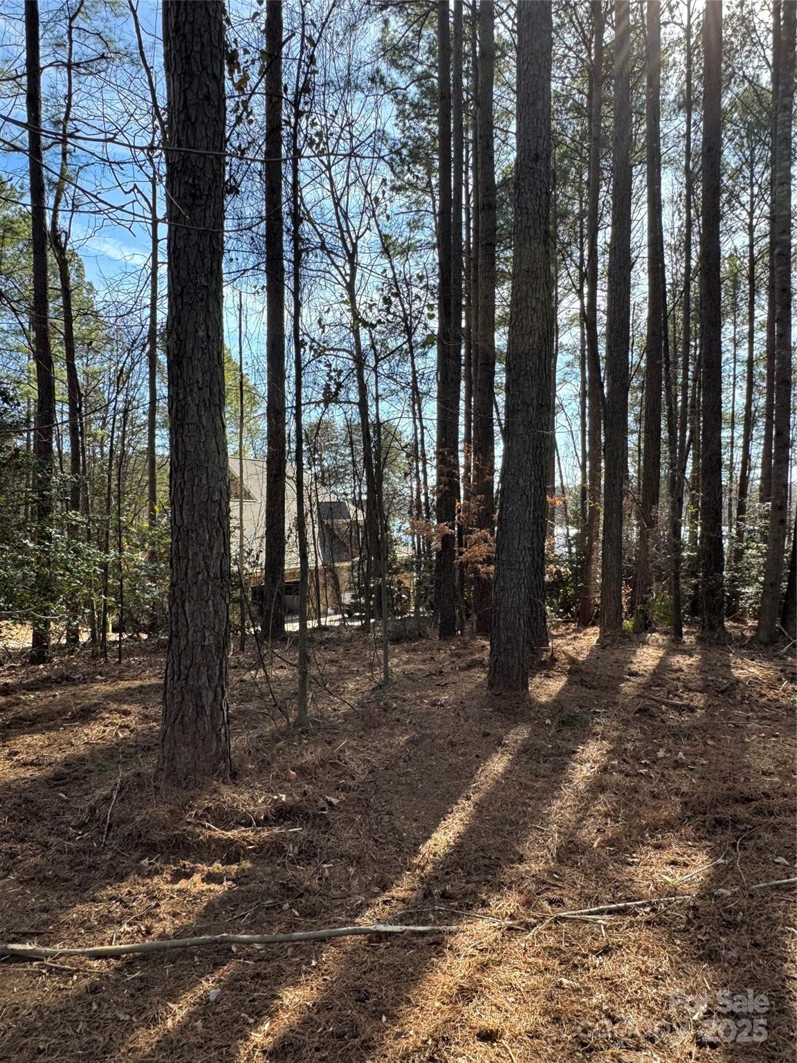 155 Eagle Chase Lane Troutman NC 28166