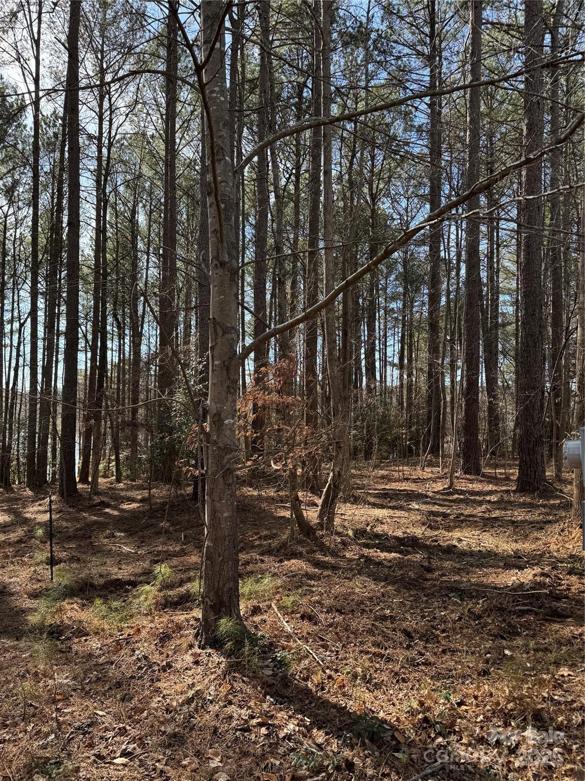 155 Eagle Chase Lane Troutman NC 28166