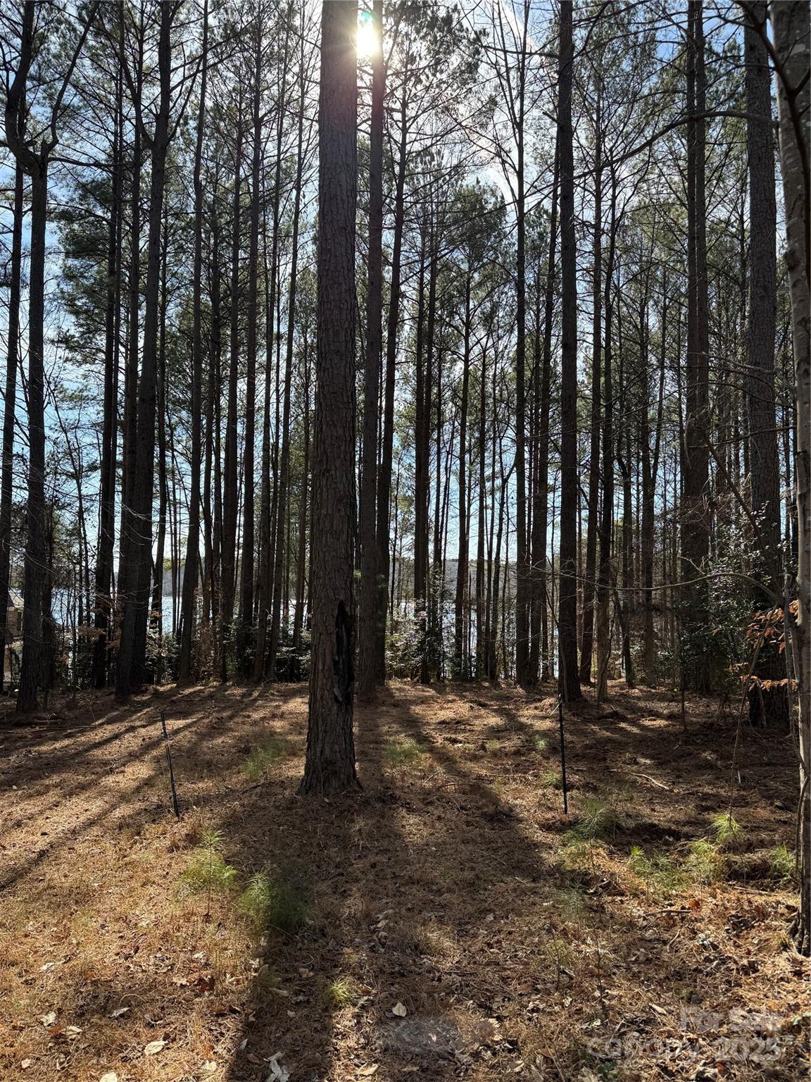 155 Eagle Chase Lane Troutman NC 28166