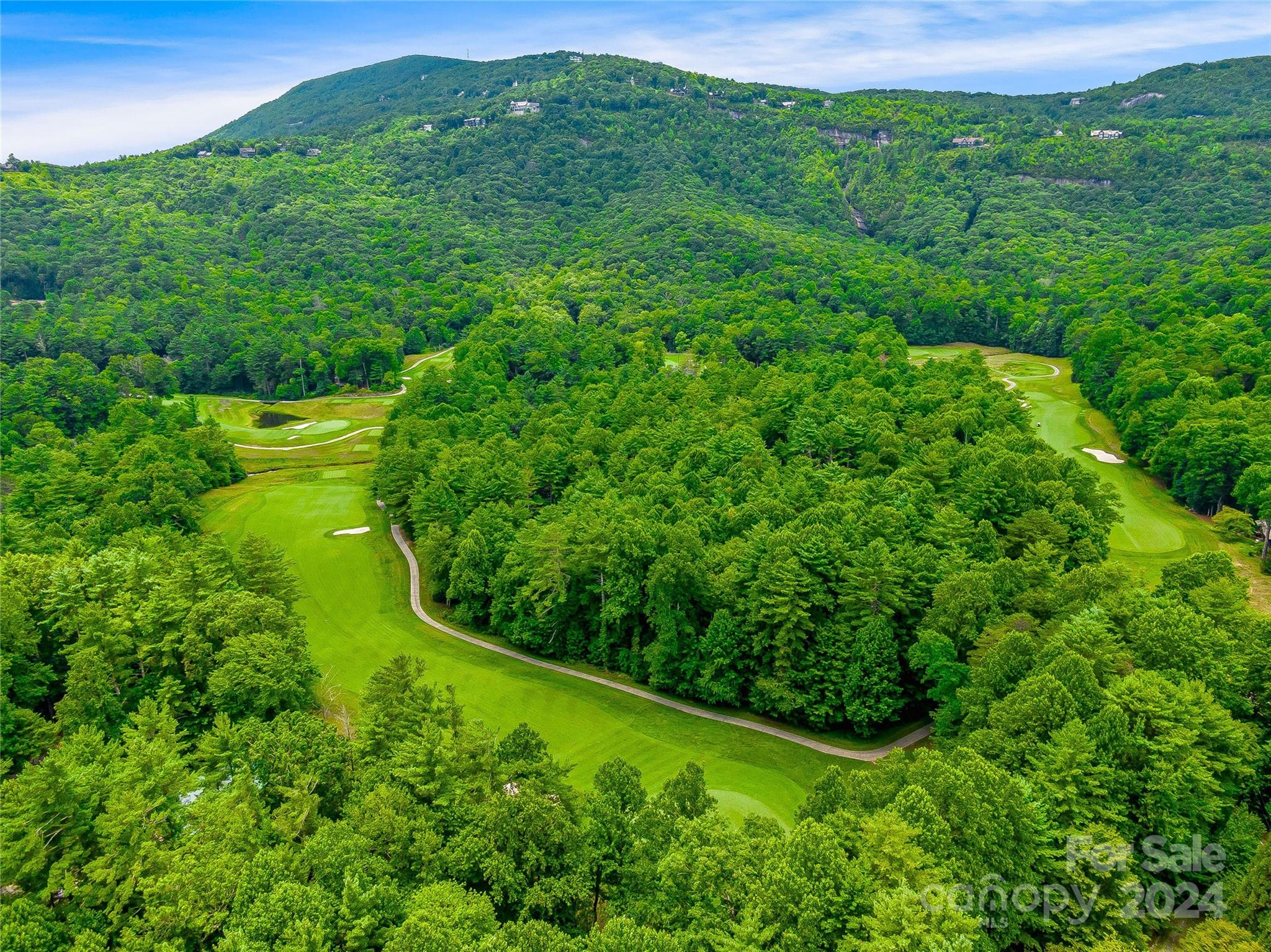 N 17 Mills Creek Trace Lake Toxaway NC 28747