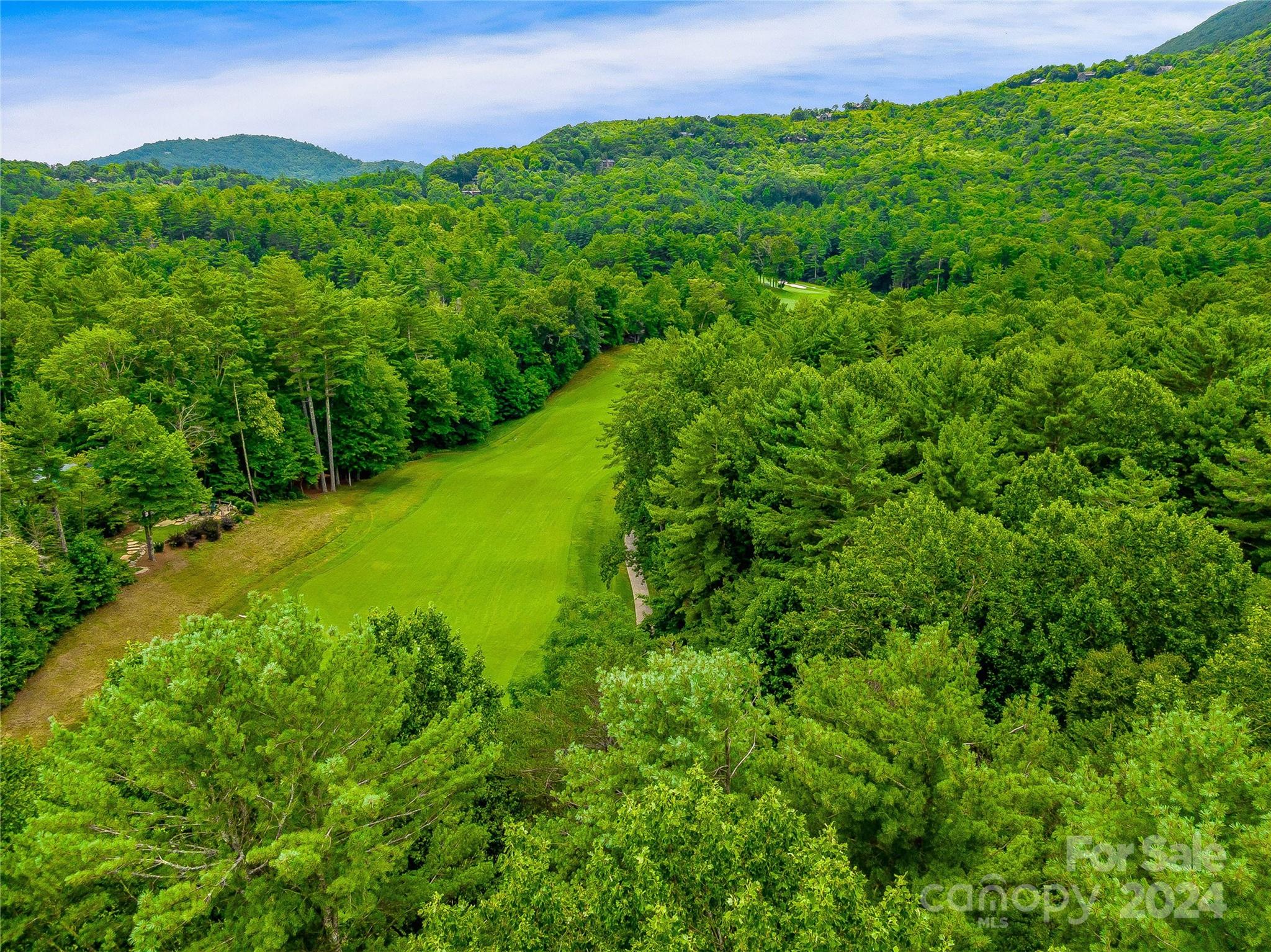 N 17 Mills Creek Trace Lake Toxaway NC 28747