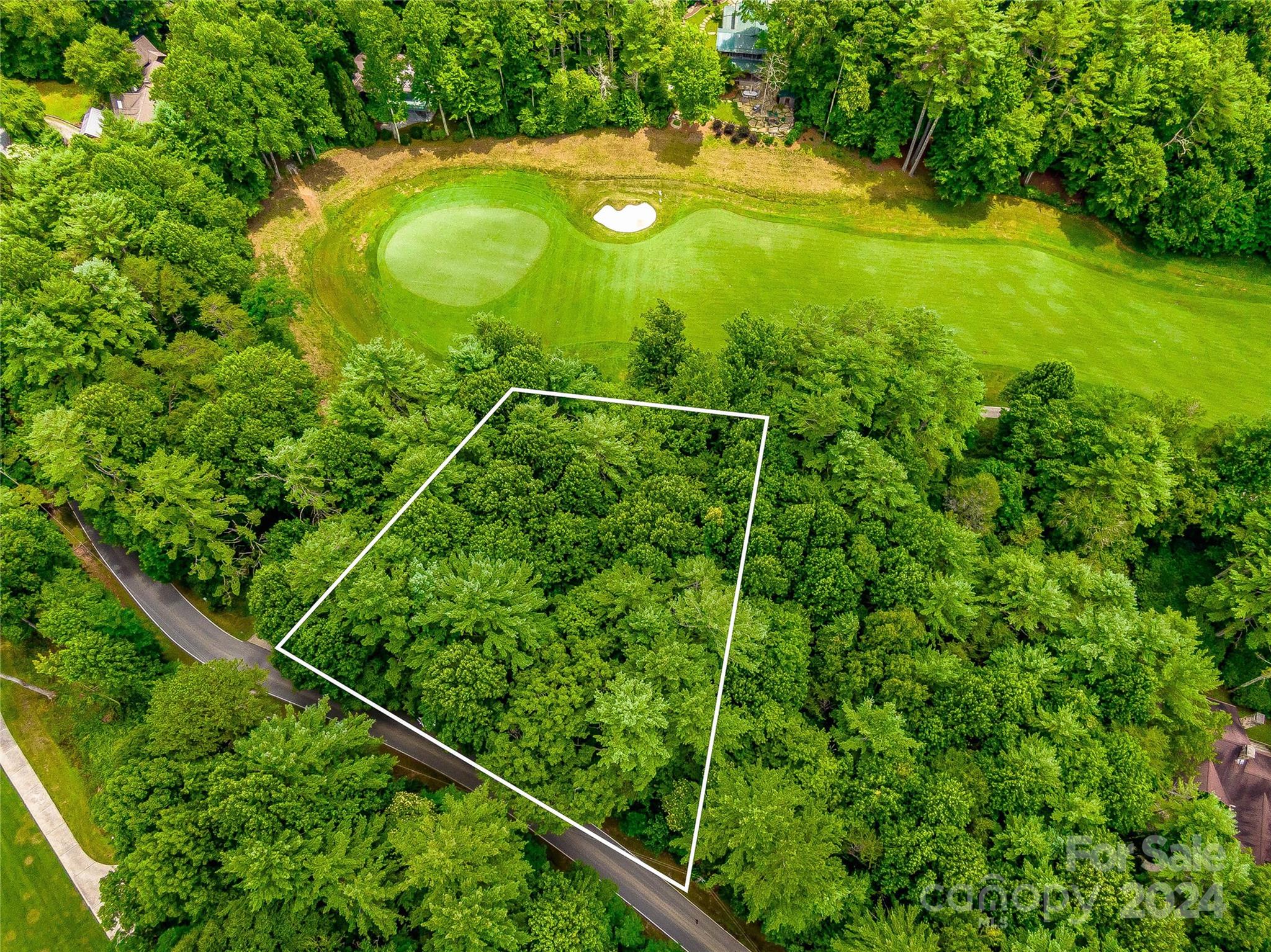 N 17 Mills Creek Trace Lake Toxaway NC 28747