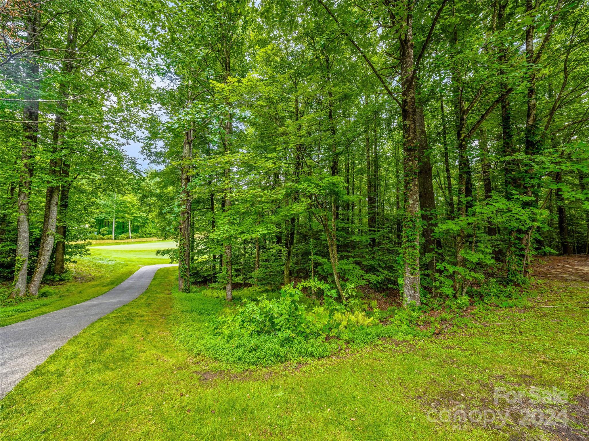 N 17 Mills Creek Trace Lake Toxaway NC 28747