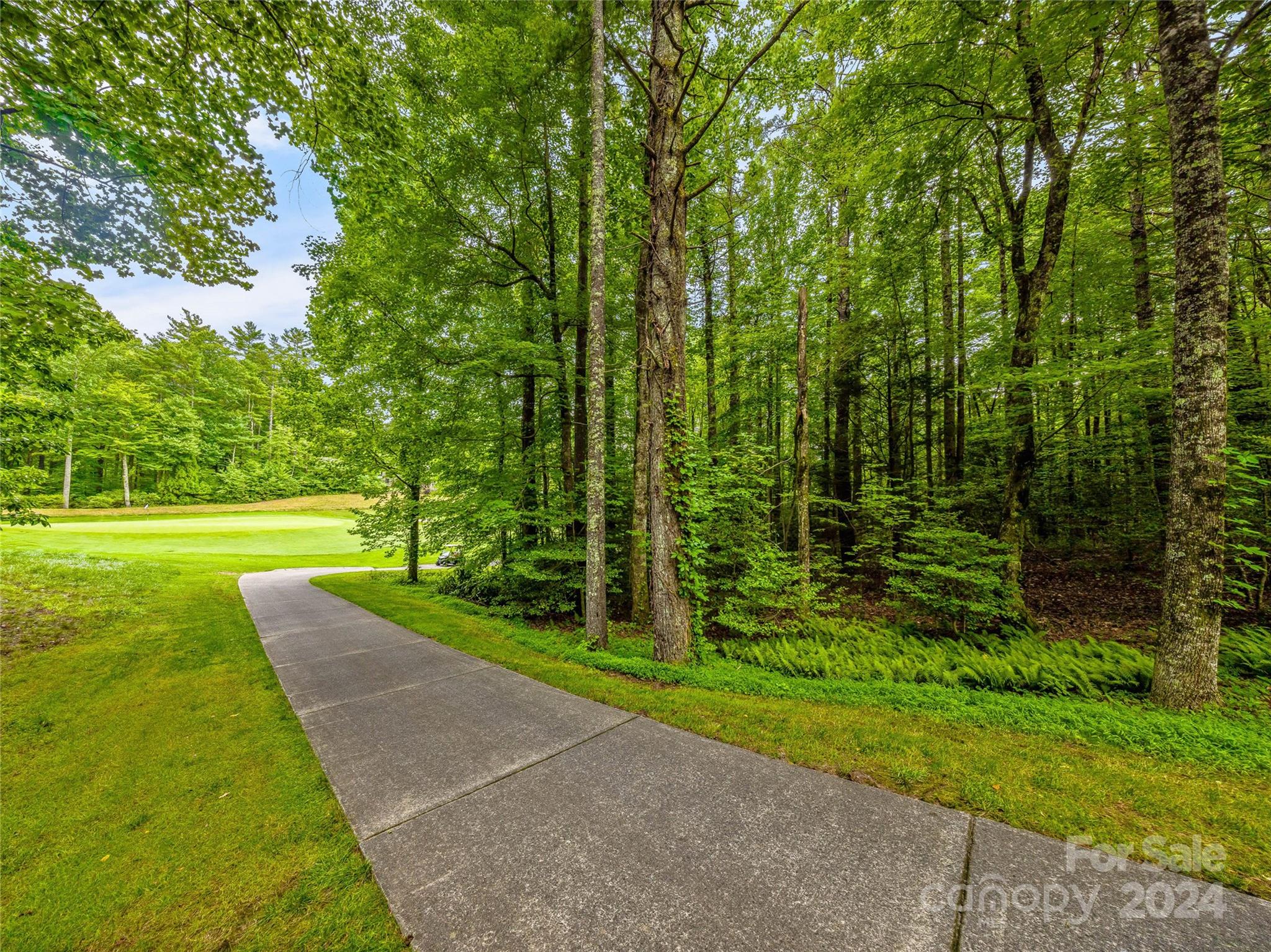 N 17 Mills Creek Trace Lake Toxaway NC 28747