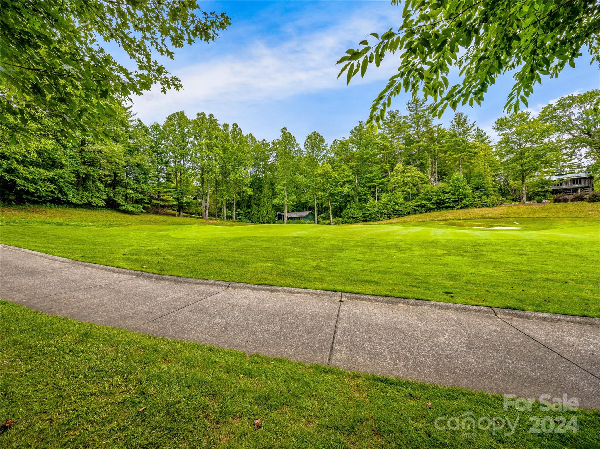 N 17 Mills Creek Trace Lake Toxaway NC 28747