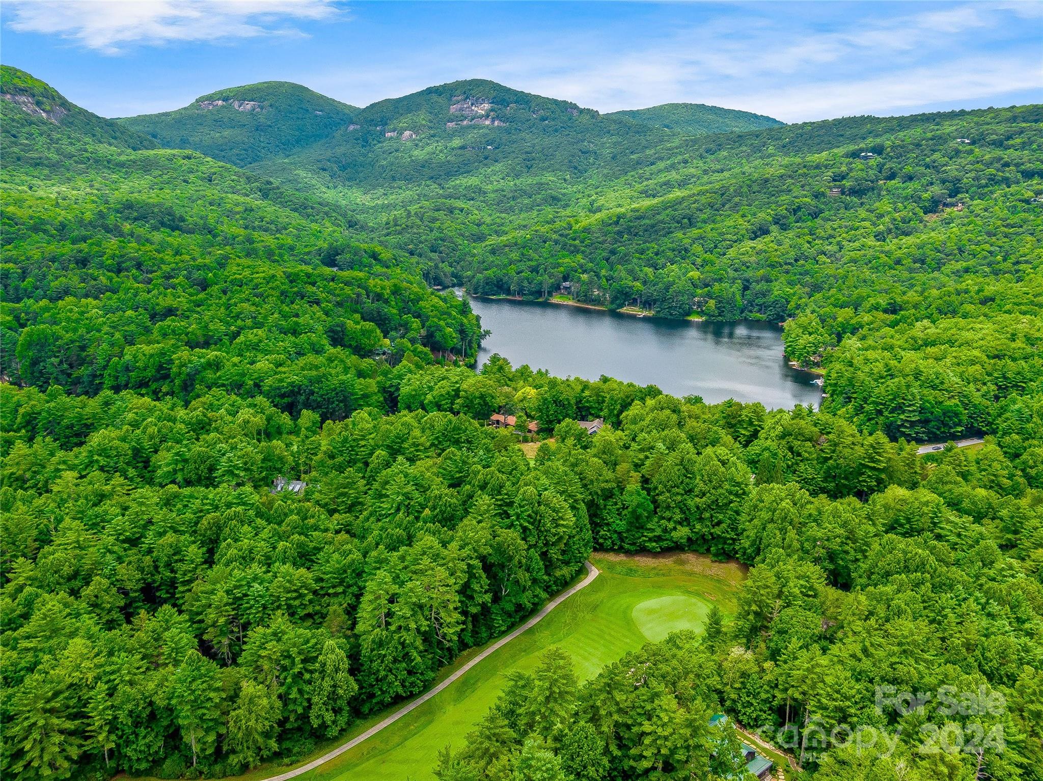 N 17 Mills Creek Trace Lake Toxaway NC 28747
