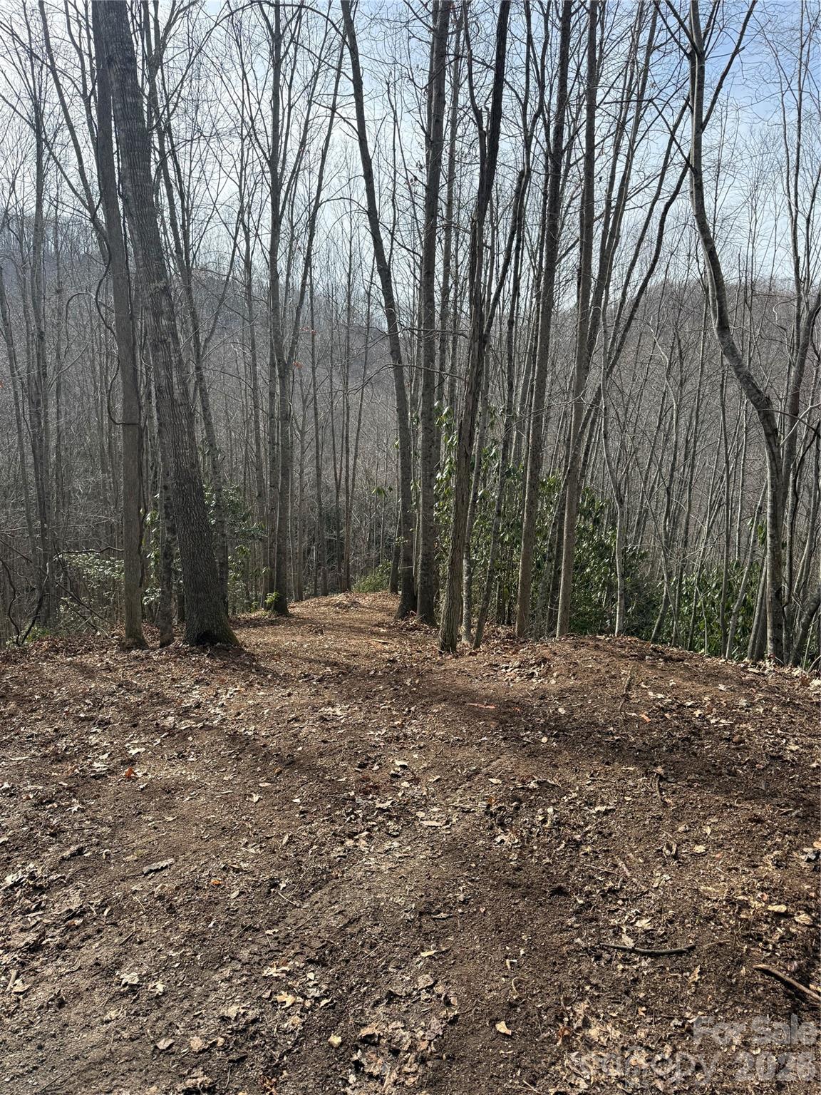 236 Down The Hill Road Sylva NC 28779