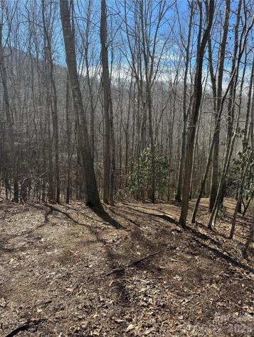 236 Down The Hill Road Sylva NC 28779