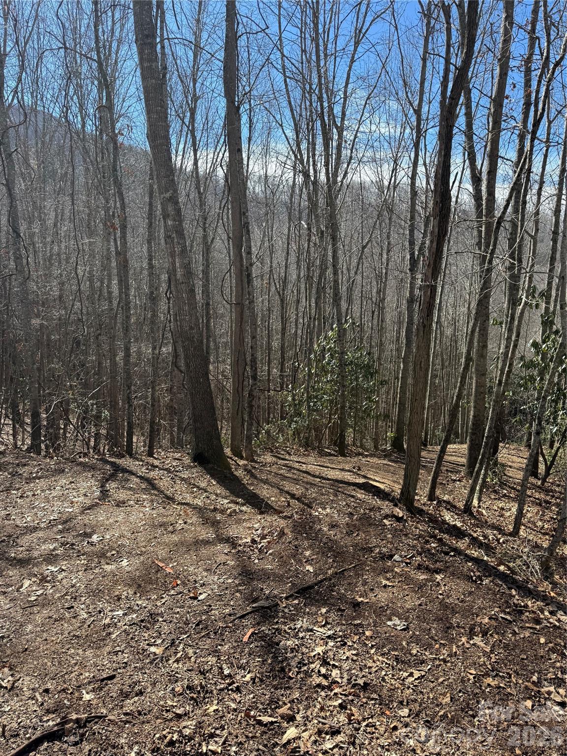236 Down The Hill Road Sylva NC 28779