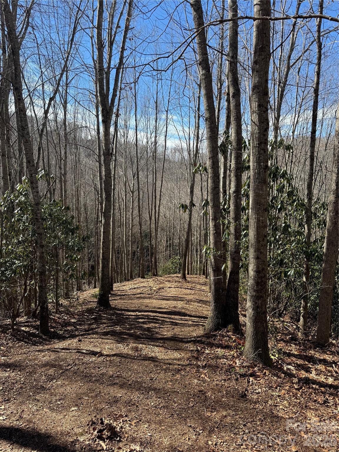 236 Down The Hill Road Sylva NC 28779