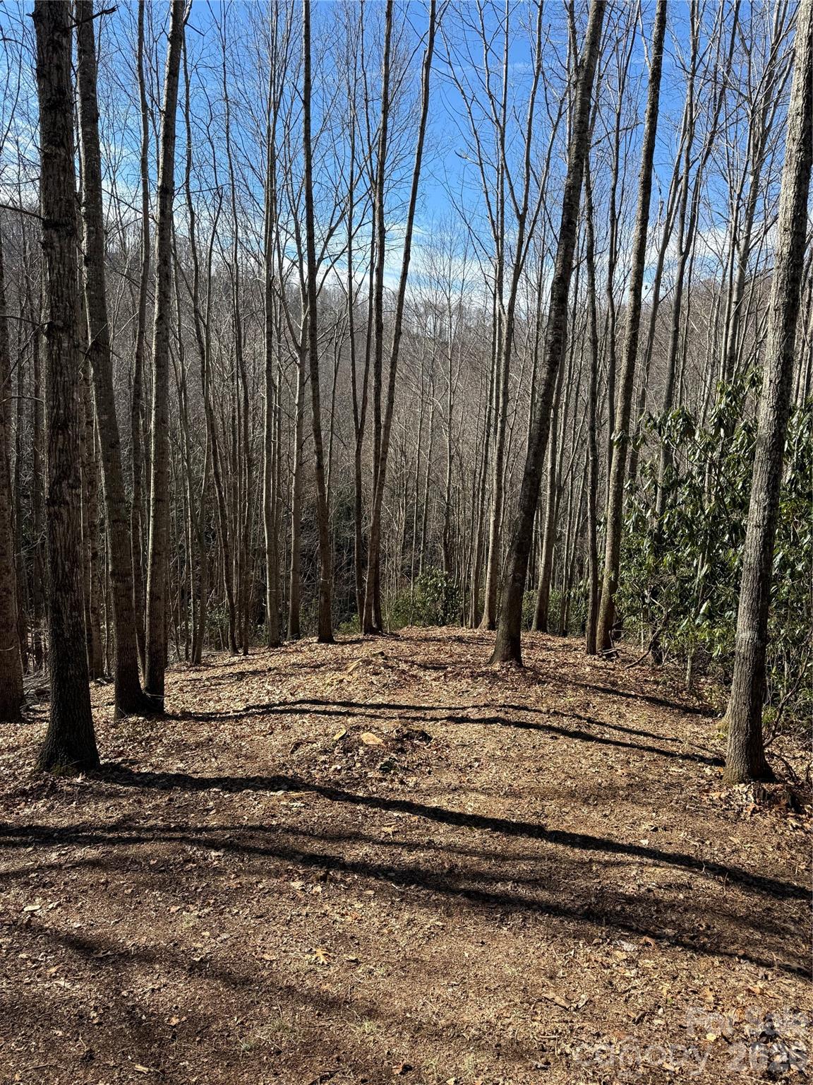 236 Down The Hill Road Sylva NC 28779