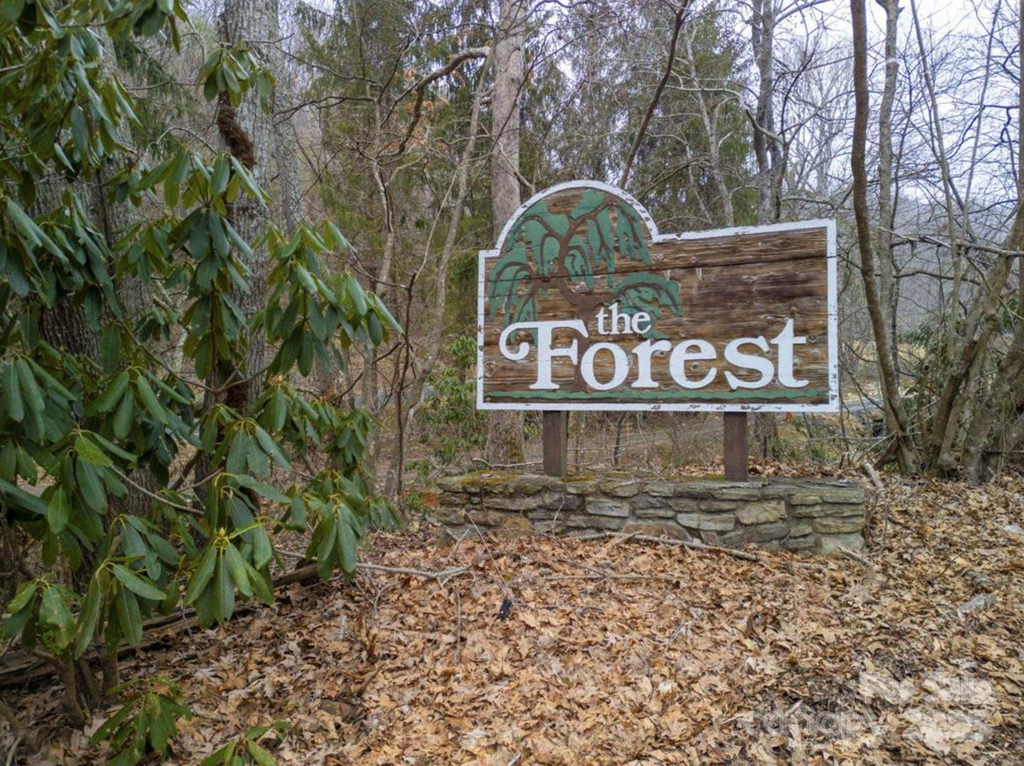 00 Seasons Drive Clyde NC 28721