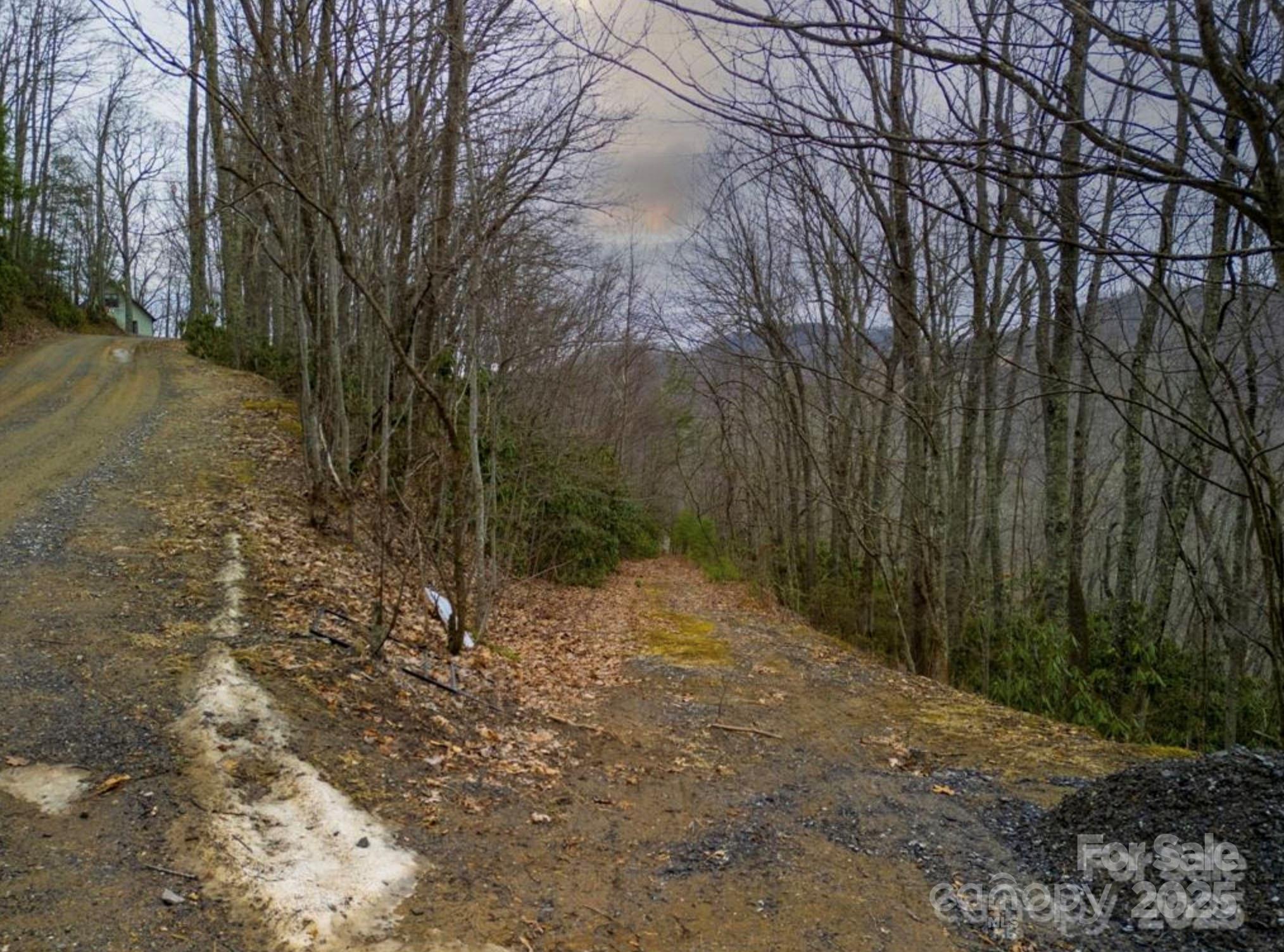 00 Seasons Drive Clyde NC 28721