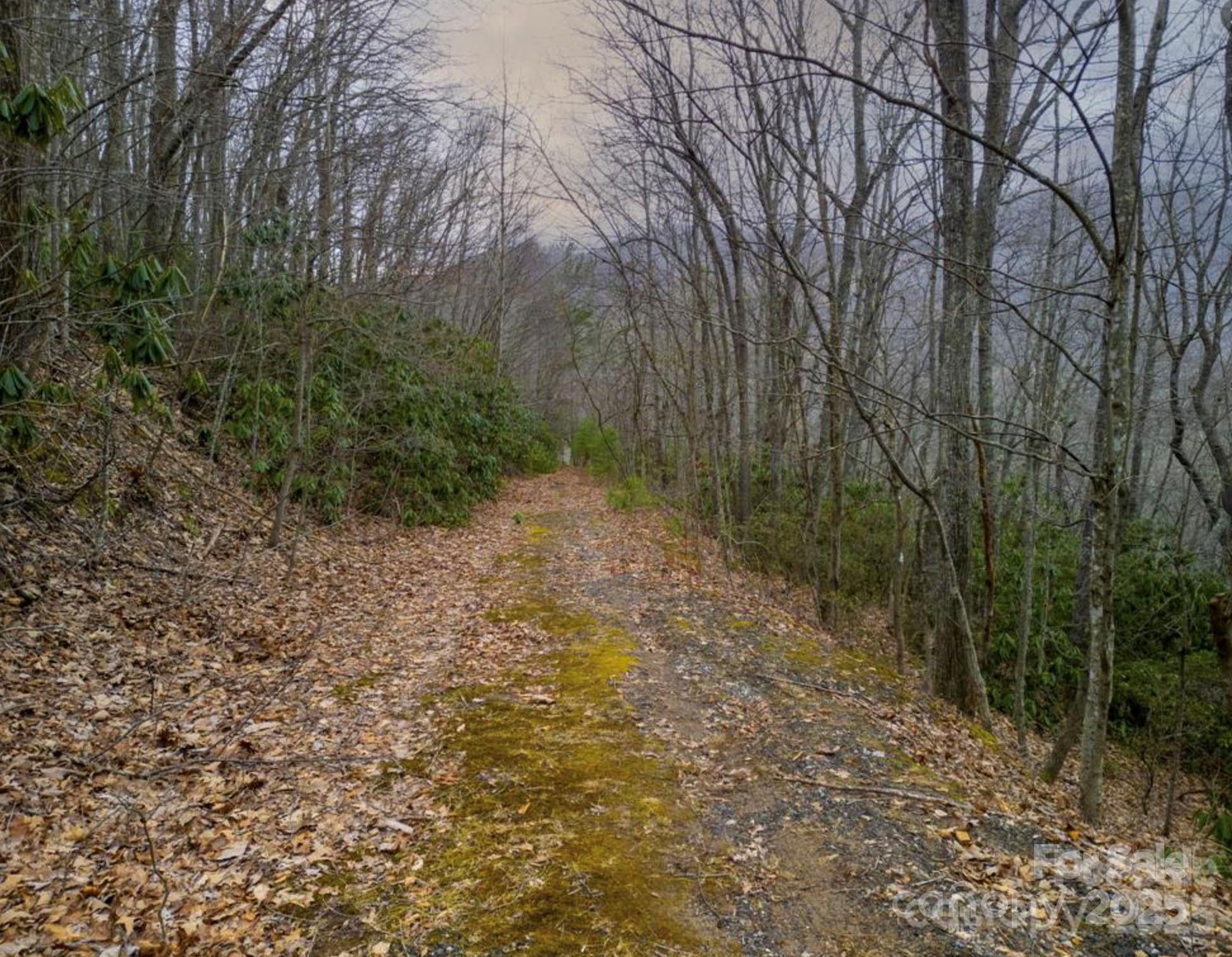 00 Seasons Drive Clyde NC 28721