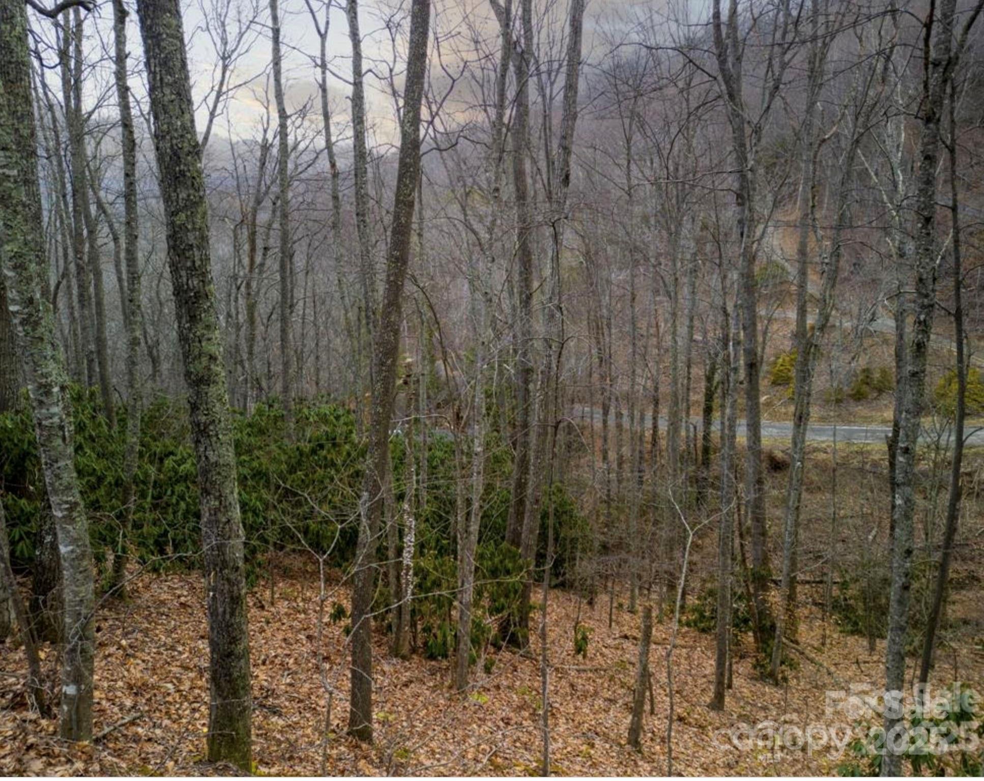 00 Seasons Drive Clyde NC 28721