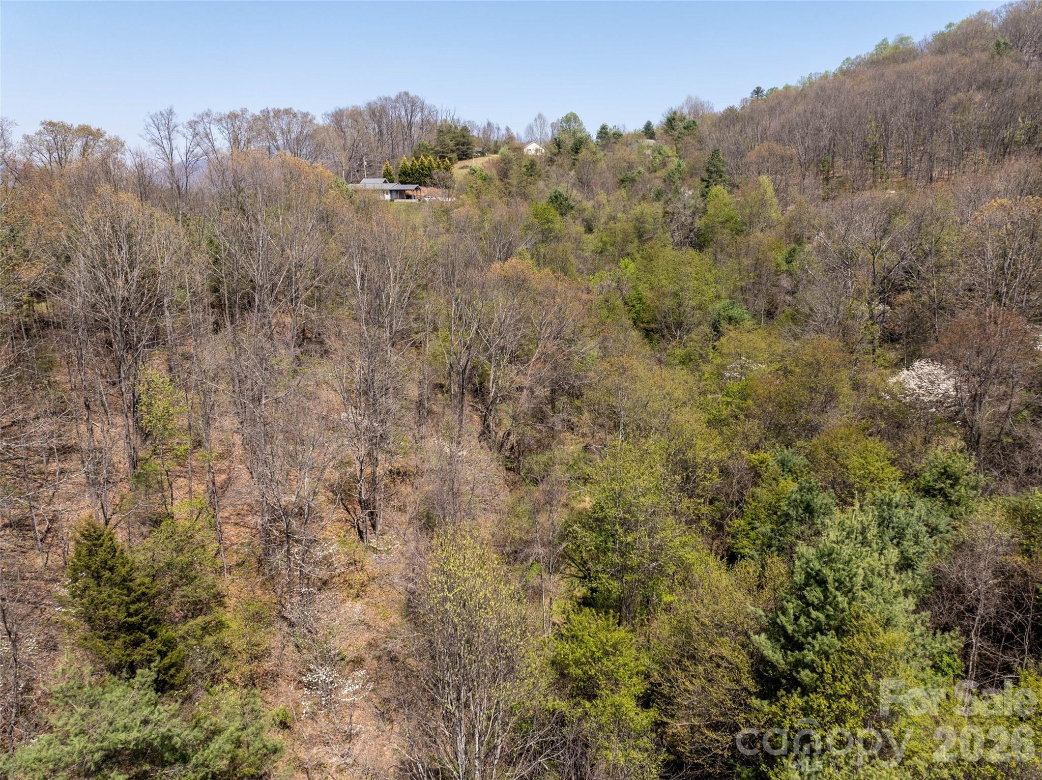 Lot 42 Sunnybrook Trail Clyde NC 28721