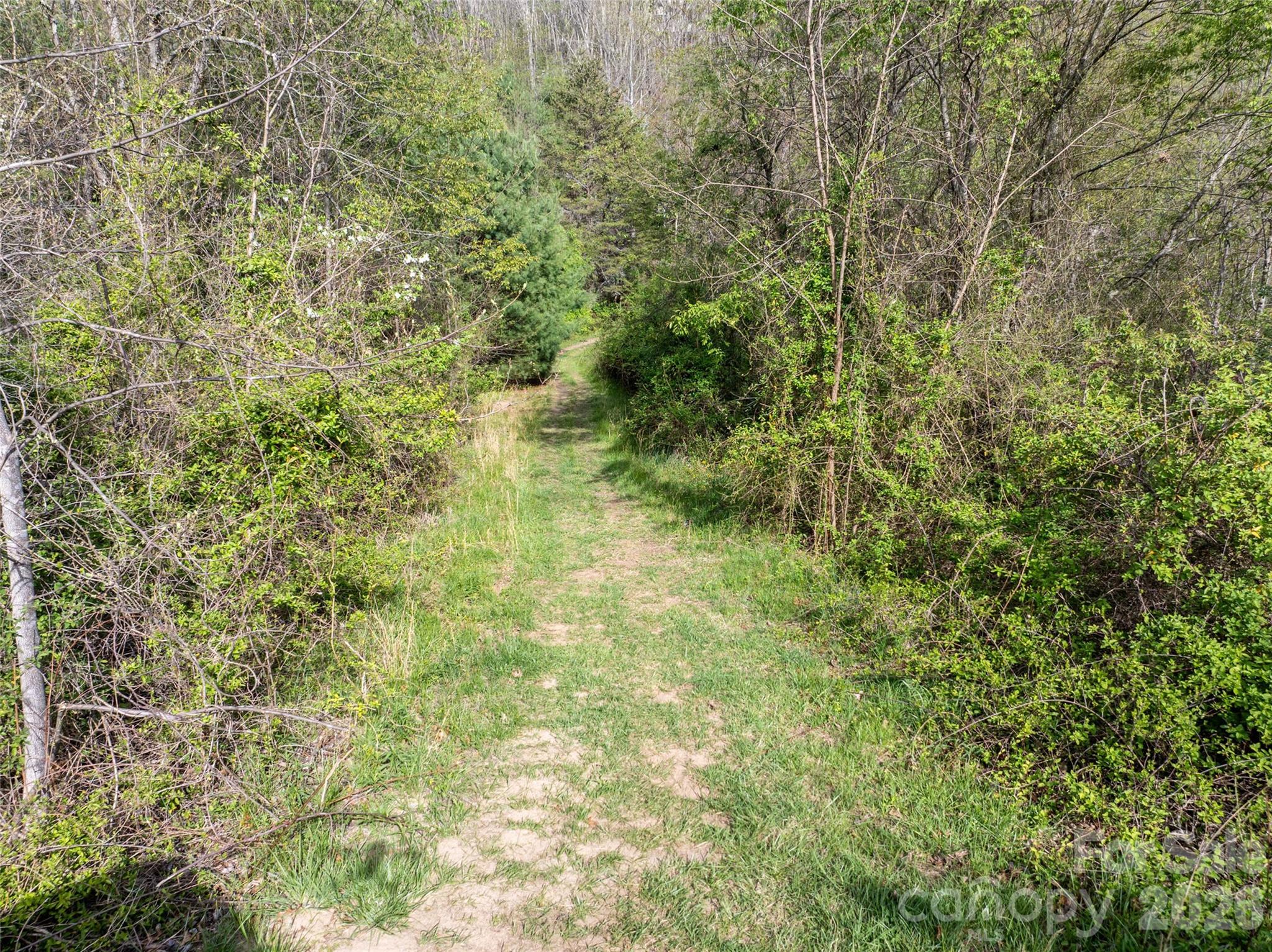 Lot 42 Sunnybrook Trail Clyde NC 28721