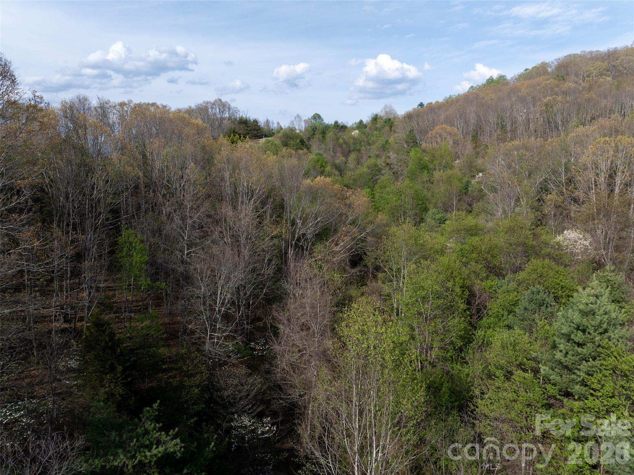 Lot 42 Sunnybrook Trail Clyde NC 28721