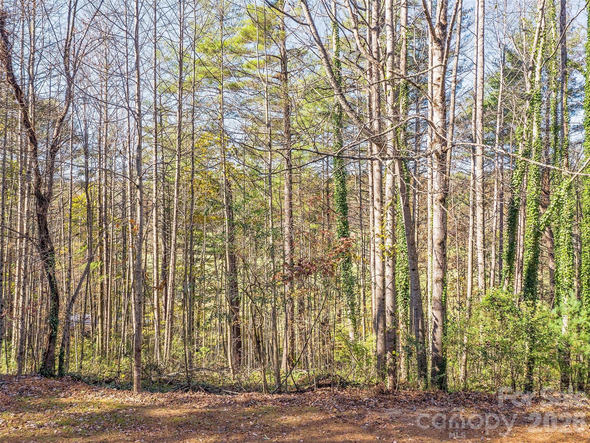 Lots 14 & 15 Mountain Lake Drive Hendersonville NC 28739