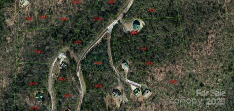 Tract 3 Linville Drive Marion NC 28752