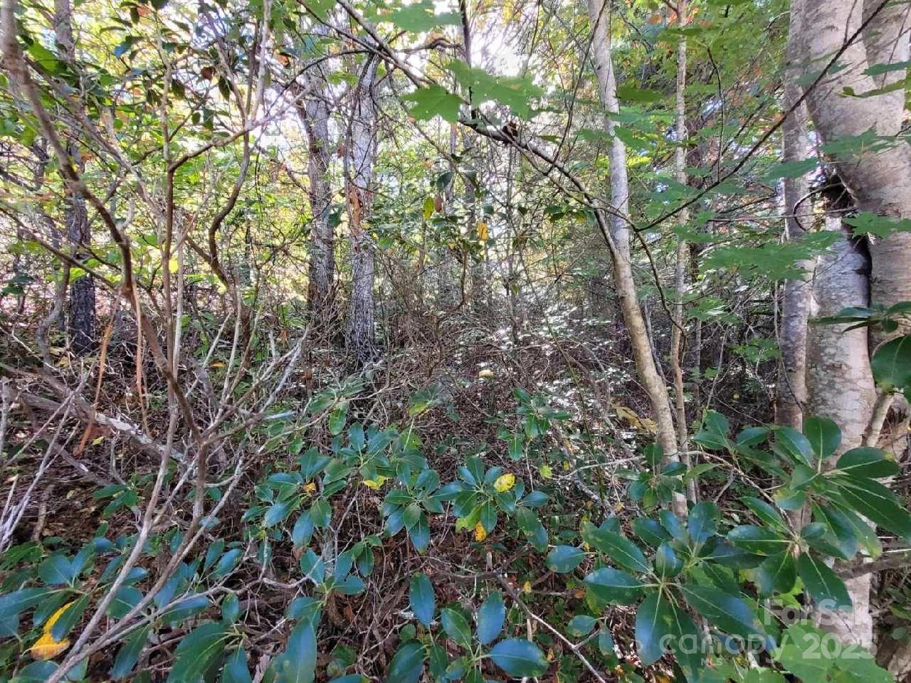 Tract 3 Linville Drive Marion NC 28752