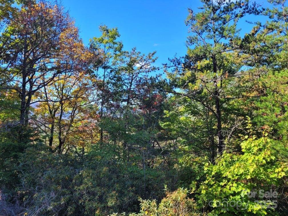 Tract 3 Linville Drive Marion NC 28752