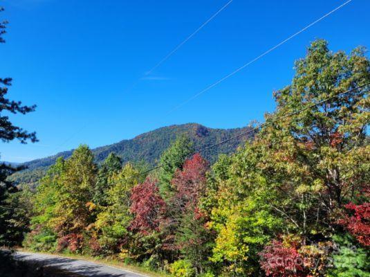 Tract 3 Linville Drive Marion NC 28752