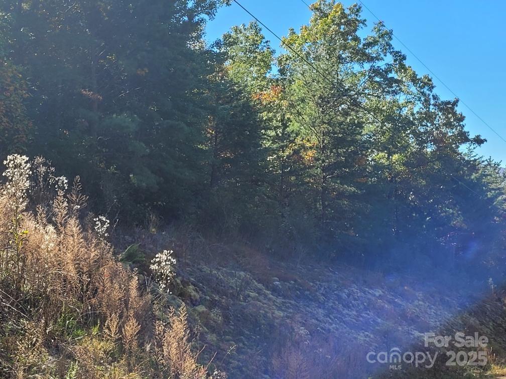 Tract 3 Linville Drive Marion NC 28752