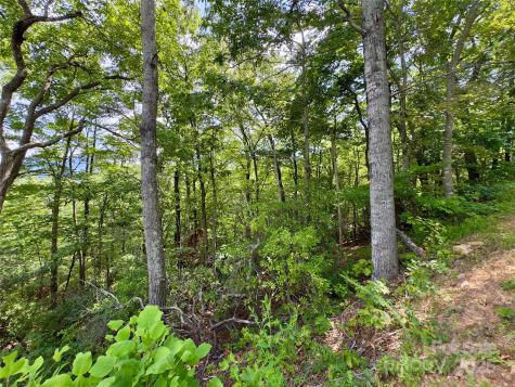 94 Galax Drive Black Mountain NC 28711