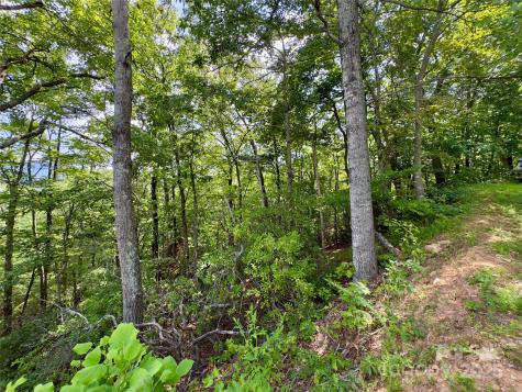 94 Galax Drive Black Mountain NC 28711