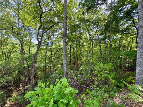 94 Galax Drive Black Mountain NC 28711