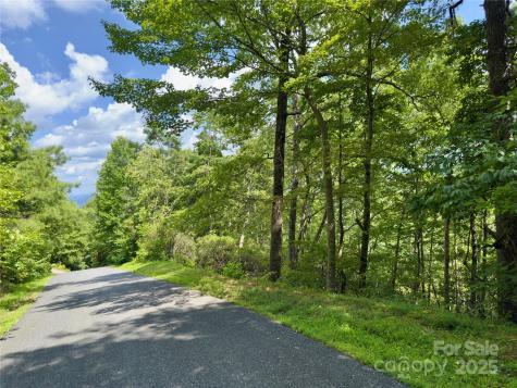 94 Galax Drive Black Mountain NC 28711