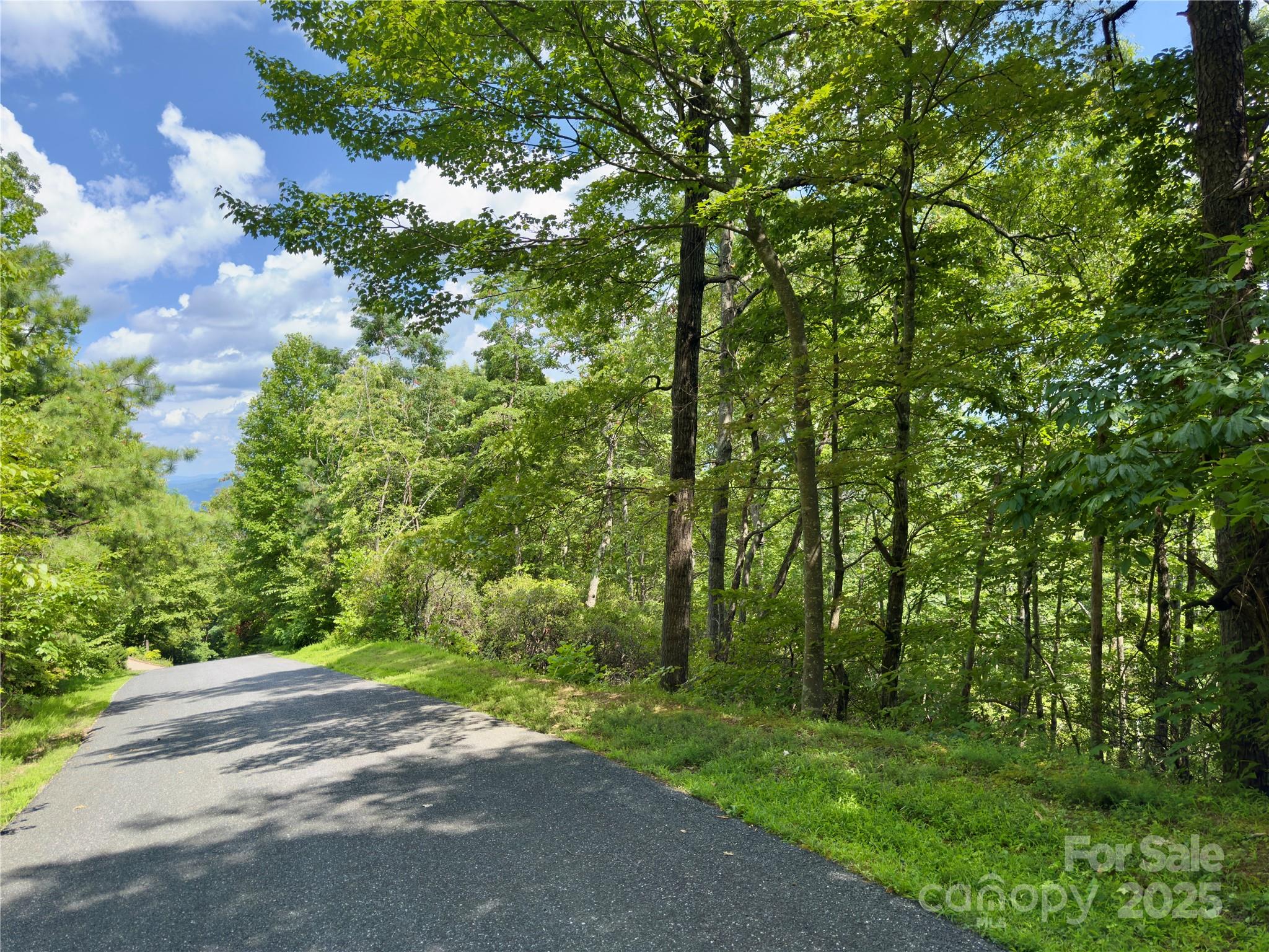 94 Galax Drive Black Mountain NC 28711