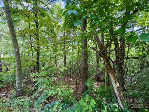 94 Galax Drive Black Mountain NC 28711