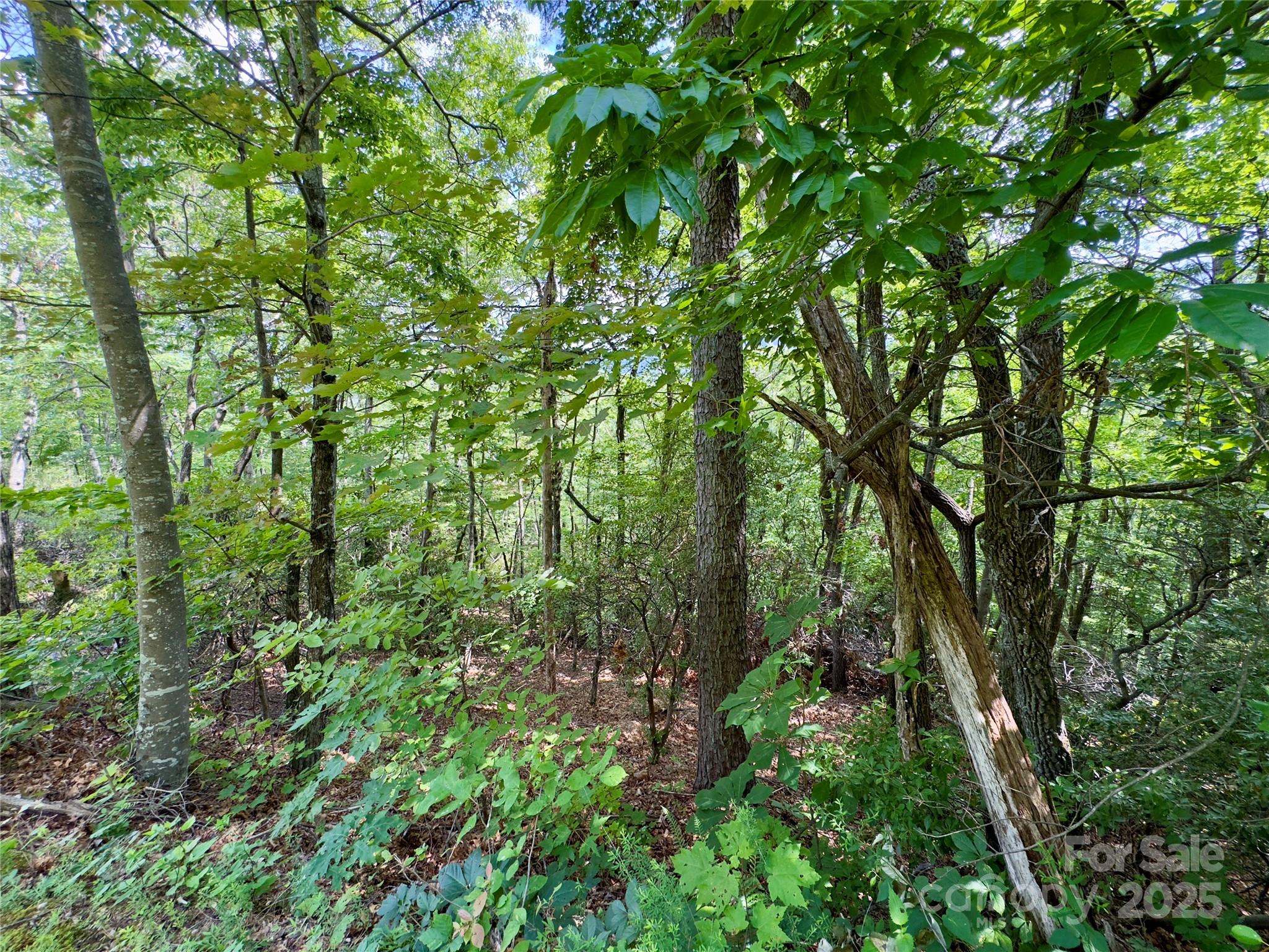 94 Galax Drive Black Mountain NC 28711