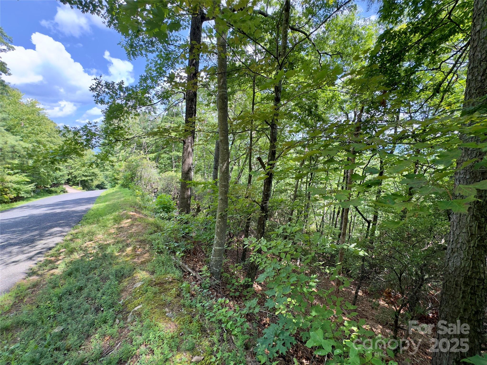 94 Galax Drive Black Mountain NC 28711