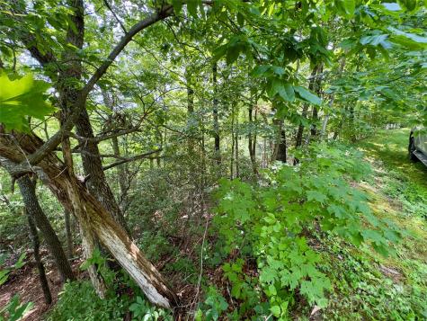 94 Galax Drive Black Mountain NC 28711
