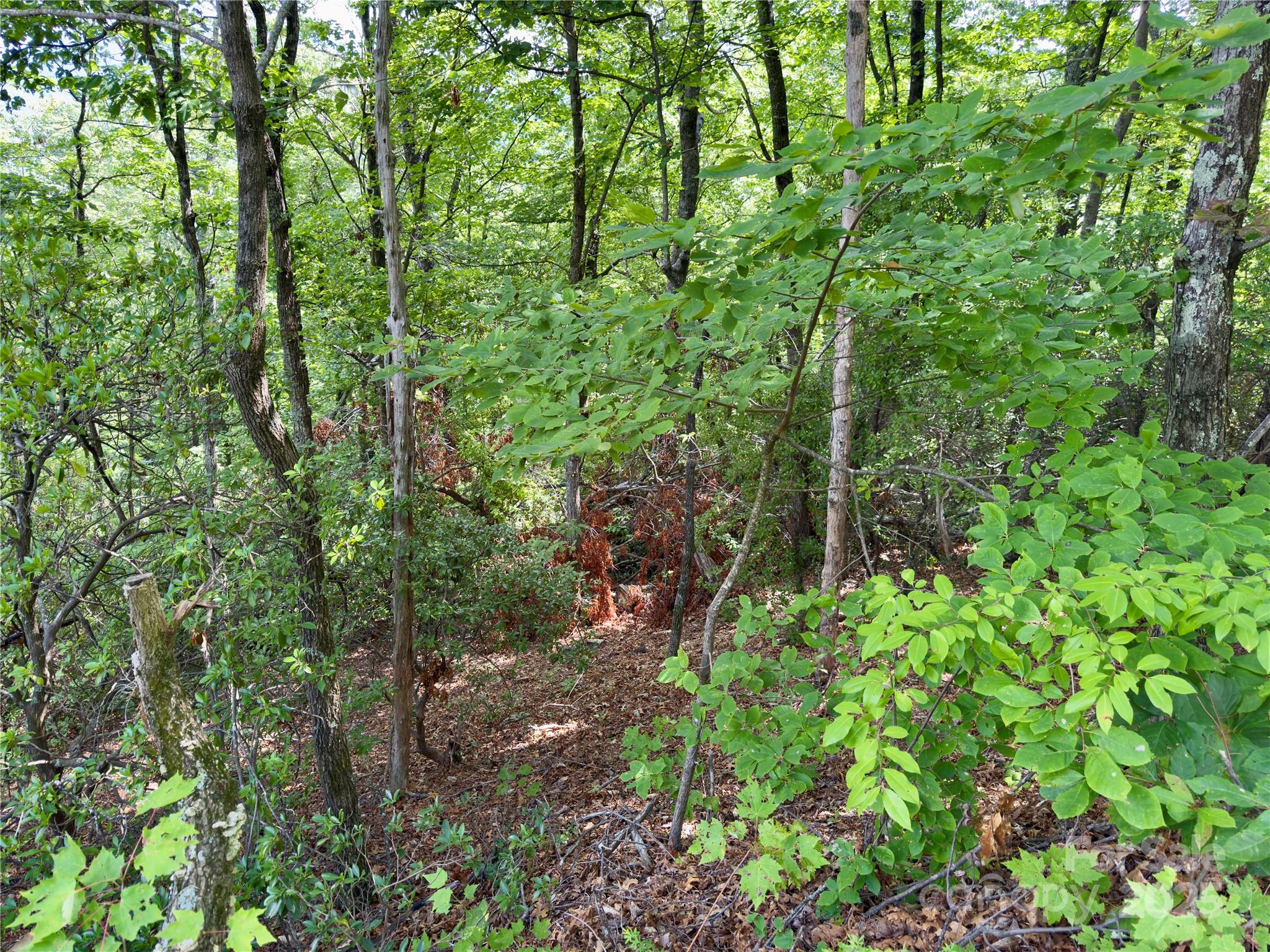 94 Galax Drive Black Mountain NC 28711