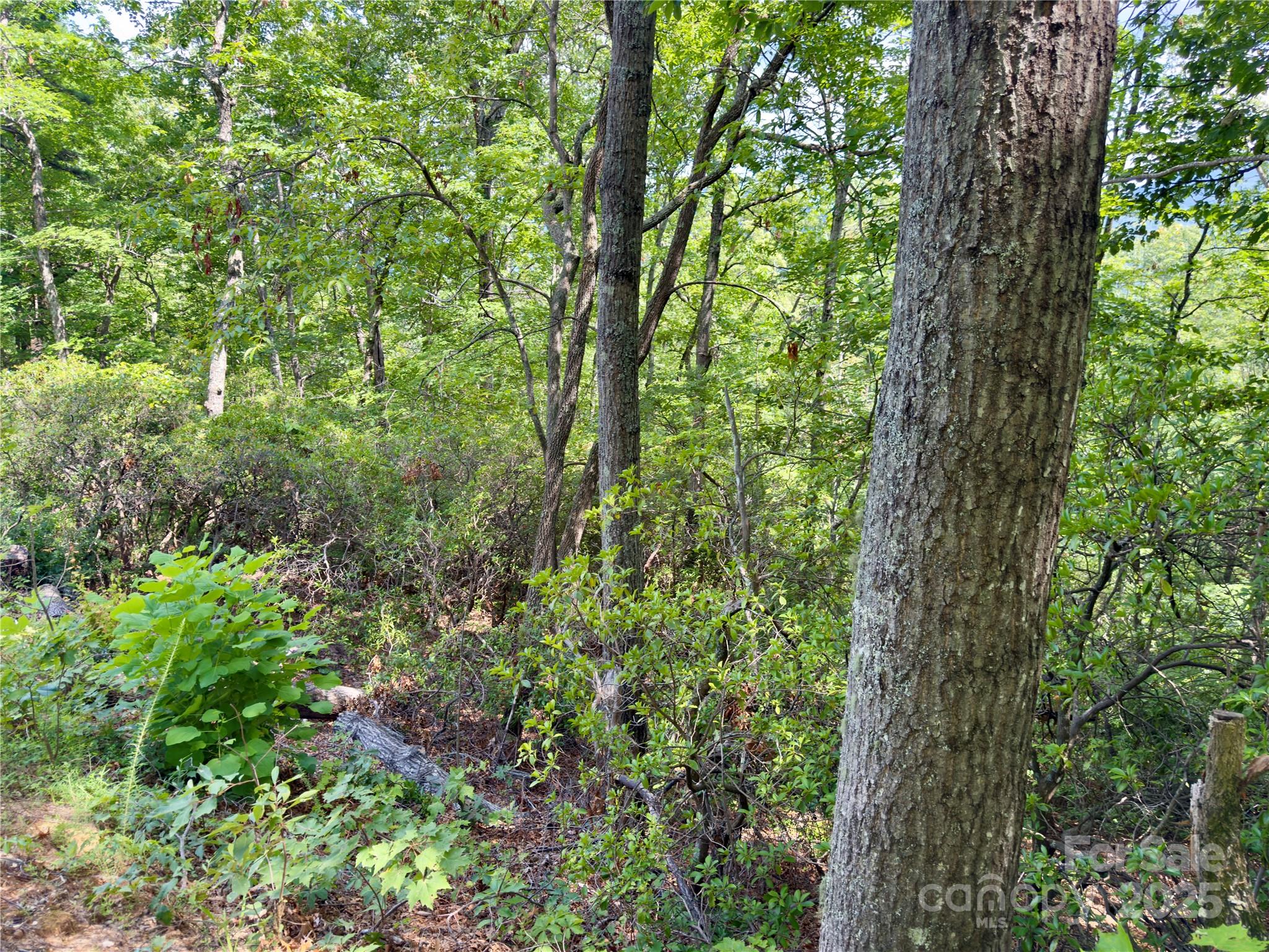 94 Galax Drive Black Mountain NC 28711