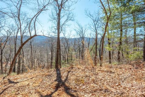 107 Bartram Way Black Mountain NC 28711