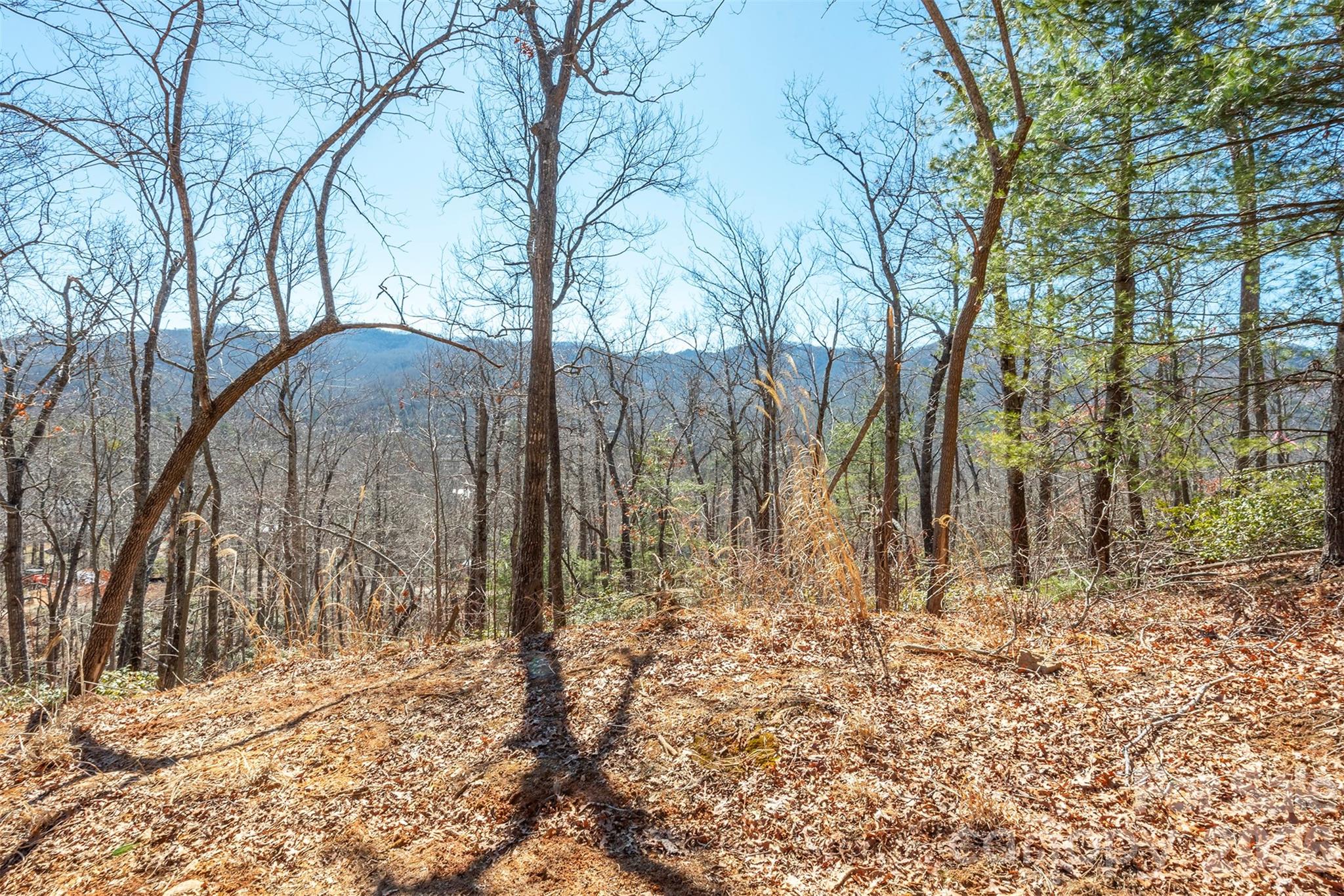 107 Bartram Way Black Mountain NC 28711