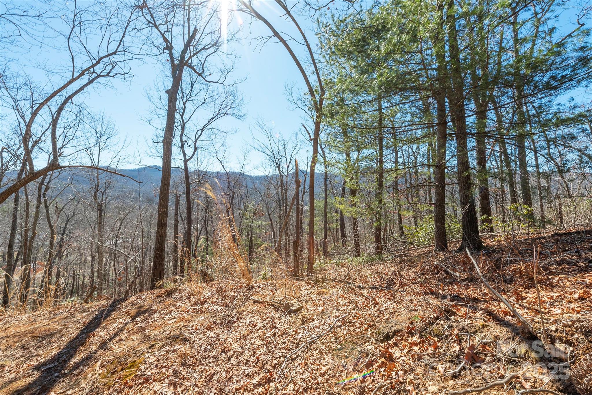 107 Bartram Way Black Mountain NC 28711