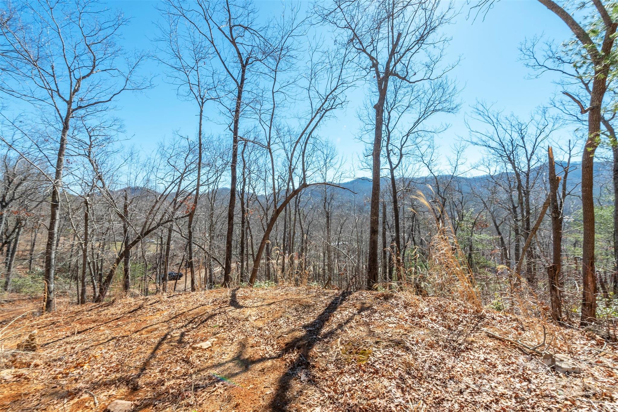 107 Bartram Way Black Mountain NC 28711