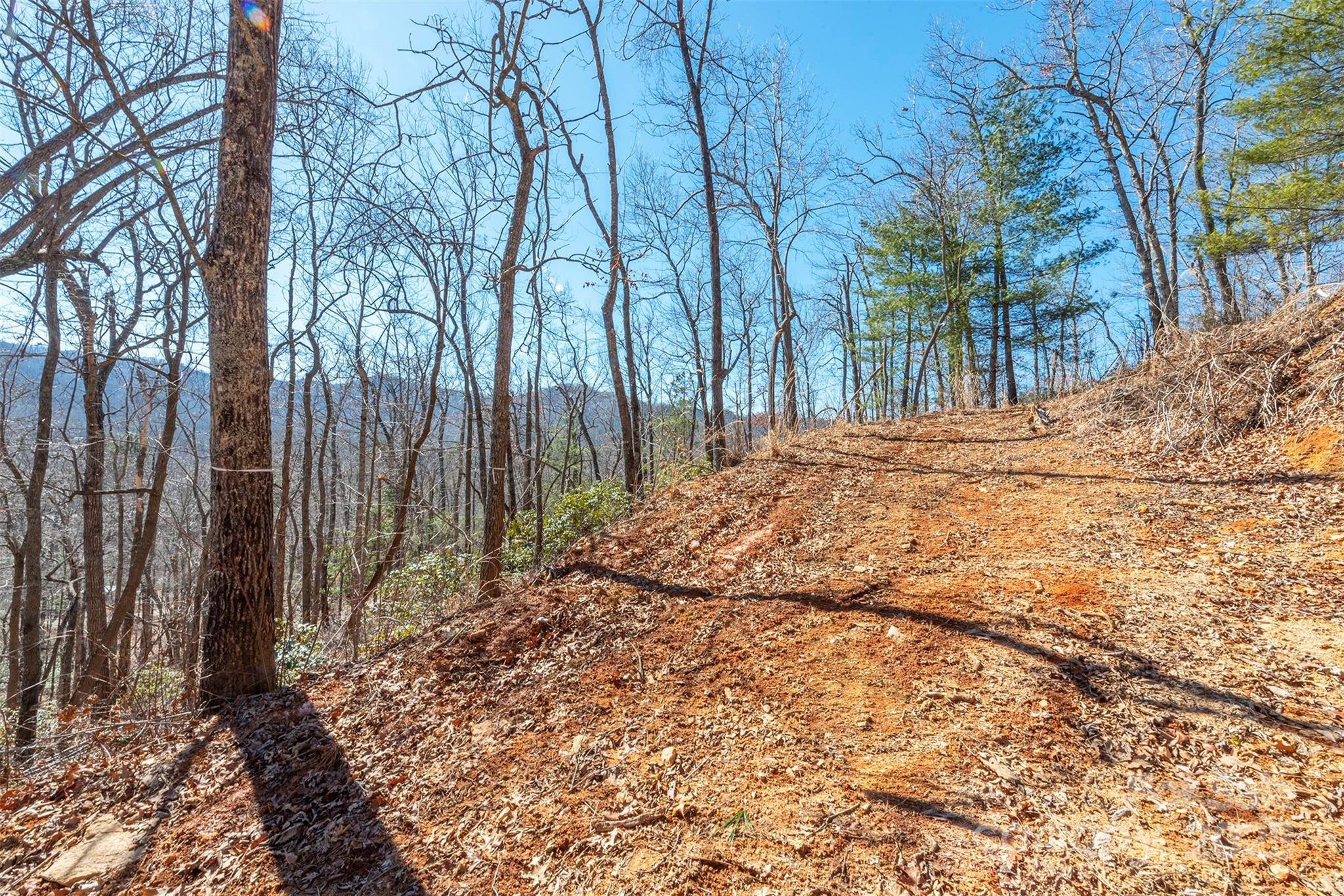 107 Bartram Way Black Mountain NC 28711