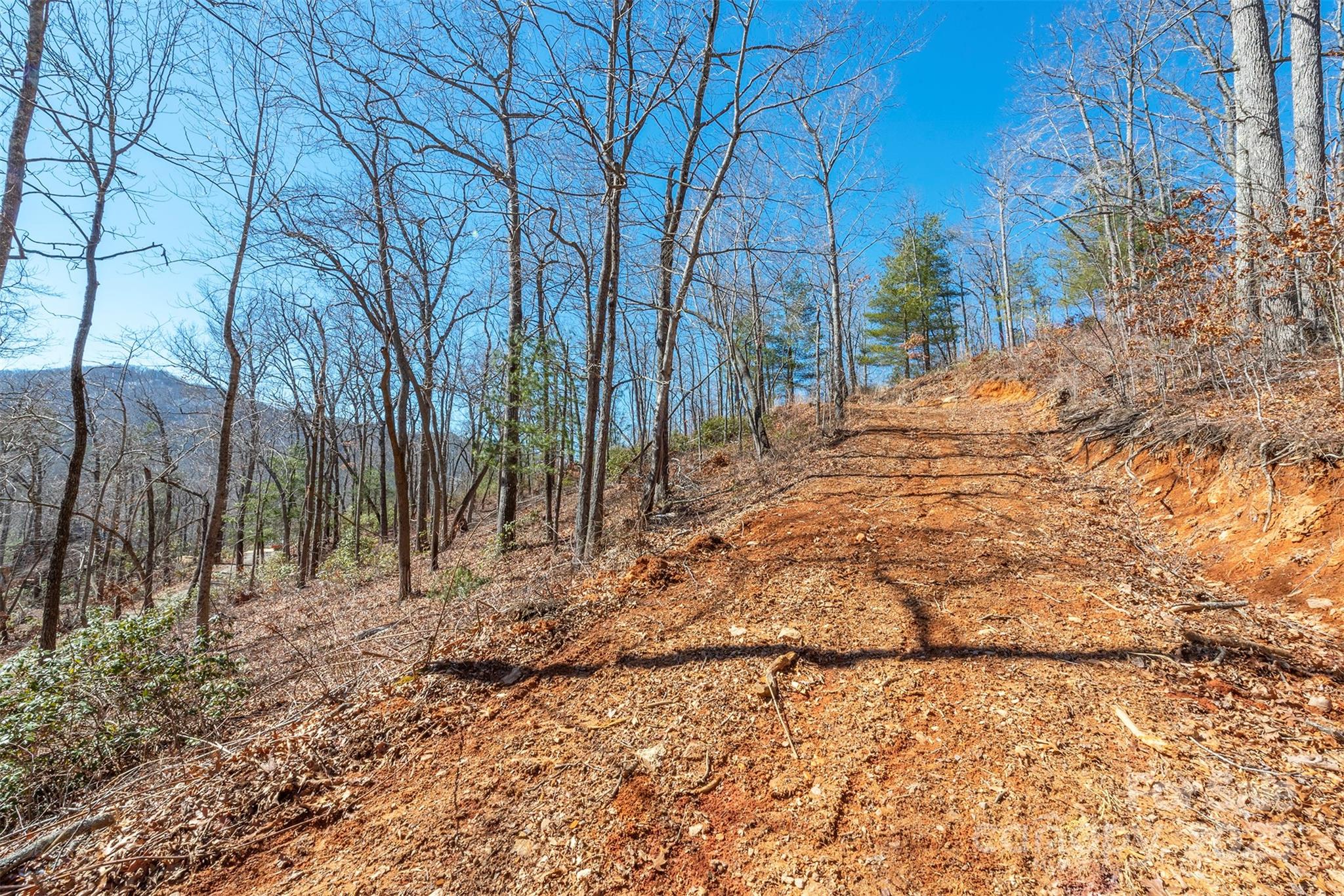 107 Bartram Way Black Mountain NC 28711