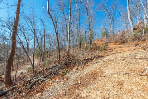 107 Bartram Way Black Mountain NC 28711