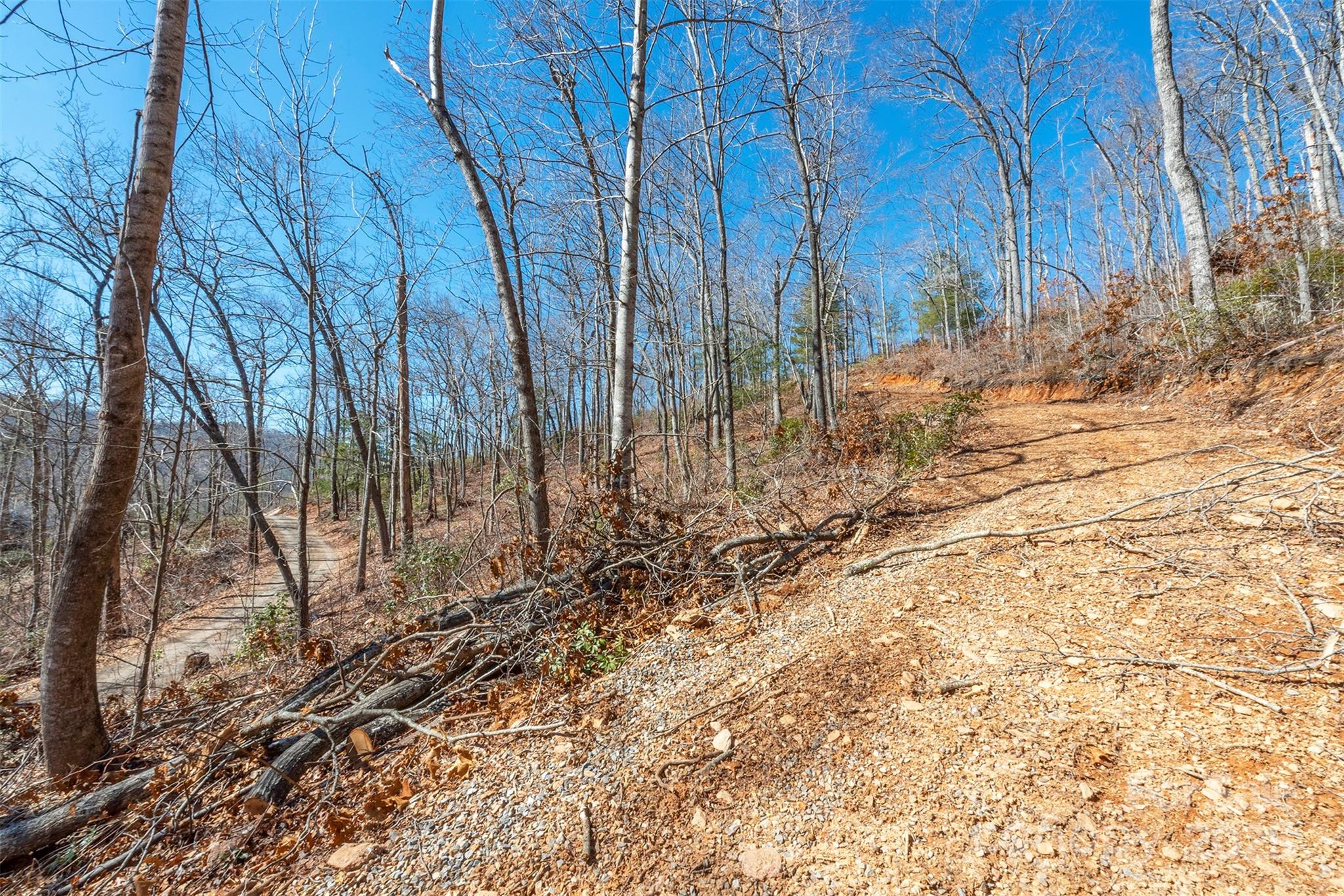 107 Bartram Way Black Mountain NC 28711